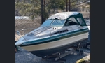 Sea Ray 250-kuva-8